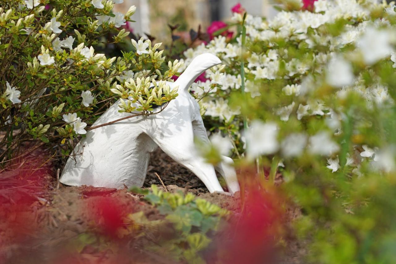 Gite Du Jardin ティユー エクステリア 写真