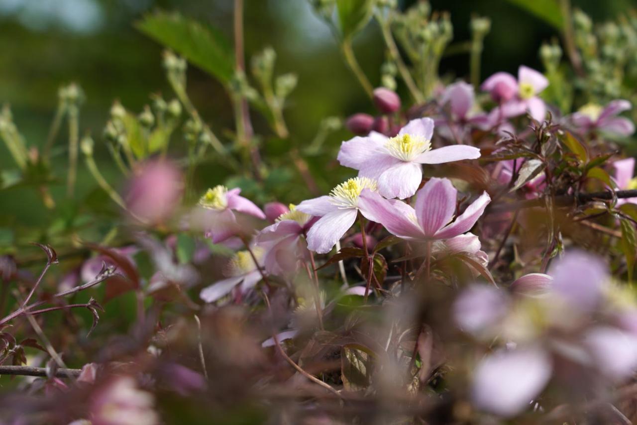 Gite Du Jardin ティユー エクステリア 写真